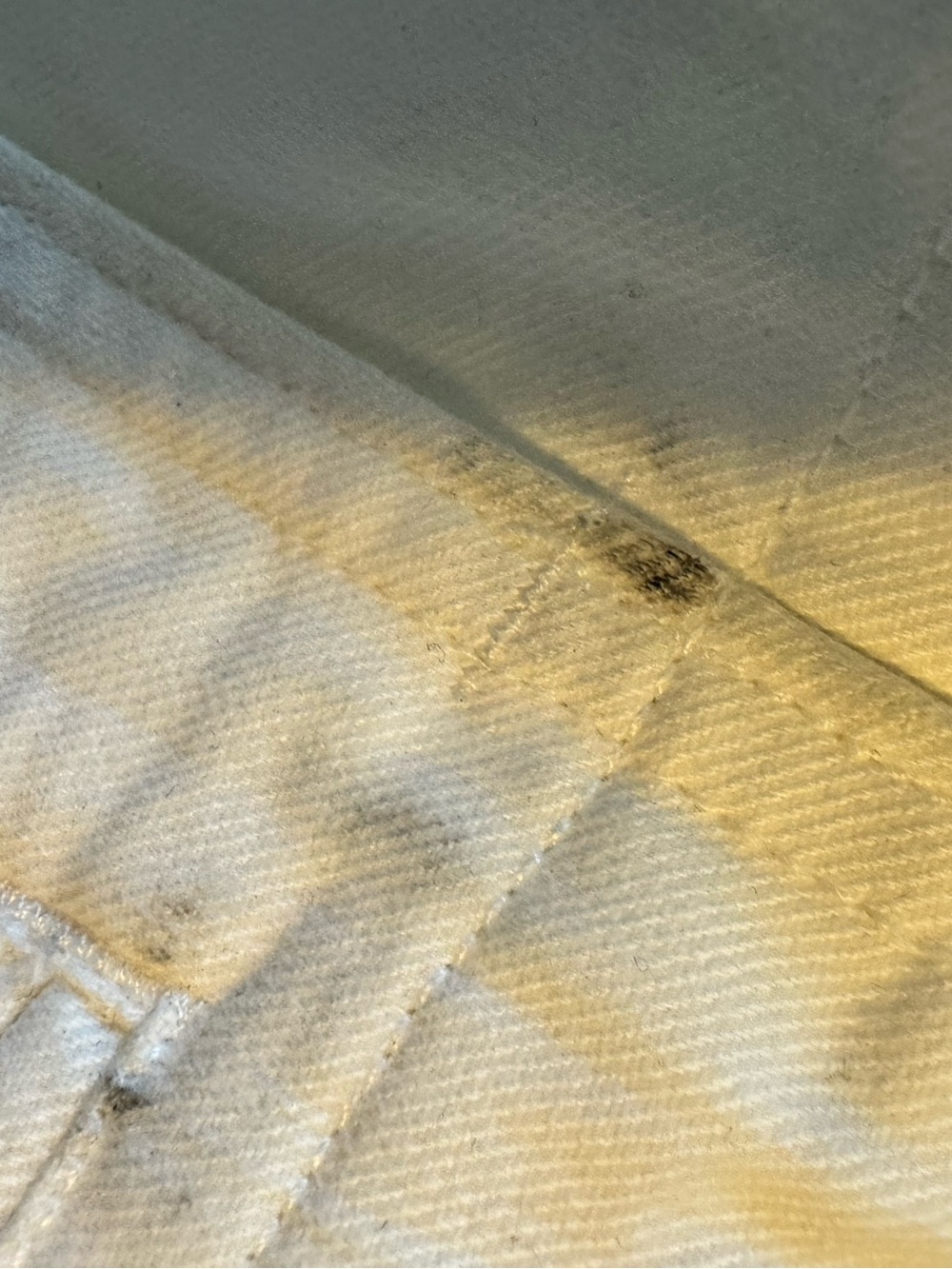 Polo Ralph Lauren White Island Graphic G.I. Chino Tapered Cutoff Pants 36 - Picture 15 of 16